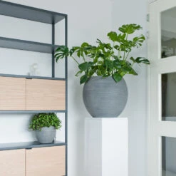 Abby Ball Plant Pot - Ridged Dark Grey 19 Abby Ball Plant Pot - Ridged Dark Grey -Greencore Store AbbyBallPlantPot RidgedDarkGrey