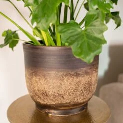 Aico Plant Pot - Shiny Brown 22 Aico Plant Pot - Shiny Brown -Greencore Store Aico shiny brown 02