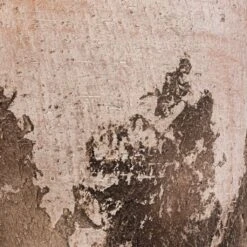 Albero Plant Pot - Cement -Greencore Store Albero Plant Pot Cement DETAIL