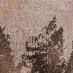 Albero Plant Pot - Cement -Greencore Store Albero Plant Pot Cement DETAIL d465160c 8621 4f6c 825c 263e6430a47d