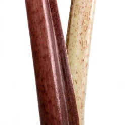 Alocasia Yucatan Princess - Elephant Ear -Greencore Store Alocasia Yucatan Princess Elephant Ear Close Up 002