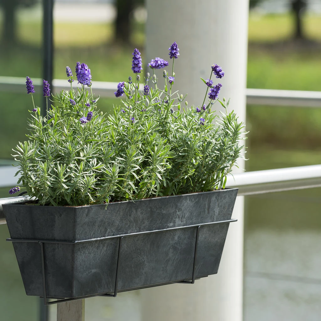 Ella Artstone Balcony Trough Planter - Black 7 Ella Artstone Balcony Trough Planter - Black - Image 5