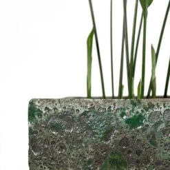 Lava Cube Relic Planter - Jade -Greencore Store Aspidistra Cast Iron Plant Lava Cube Relic Planter Jade Close Up