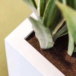 Balcony Planter - Matt White -Greencore Store Balcony Planter Matt White Close Up