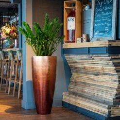 Metallic Partner Planter - Matt Copper 11 Metallic Partner Planter - Matt Copper -Greencore Store Baq Metallic Planter Silver Leaf Matt Copper ZZ plant 4bcd3b33 1190 4f3c b4a4 865ff4b04a26