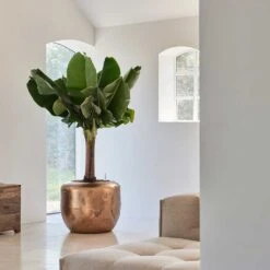 Opus Raw Couple Planter - Gold -Greencore Store Baq Opus Raw Couple Gold 2