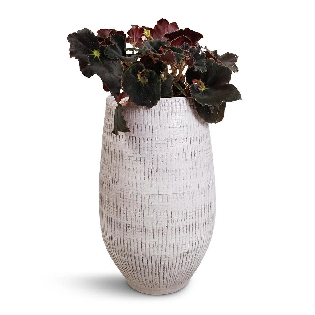 Ryan Plant Vase - White Black 6 Ryan Plant Vase - White Black - Image 5