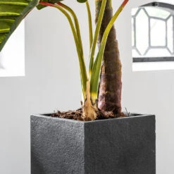 Bouvy Granite Planter - Midnight Black -Greencore Store Bouvy Granite Planter Midnight Black Lifestyle 2