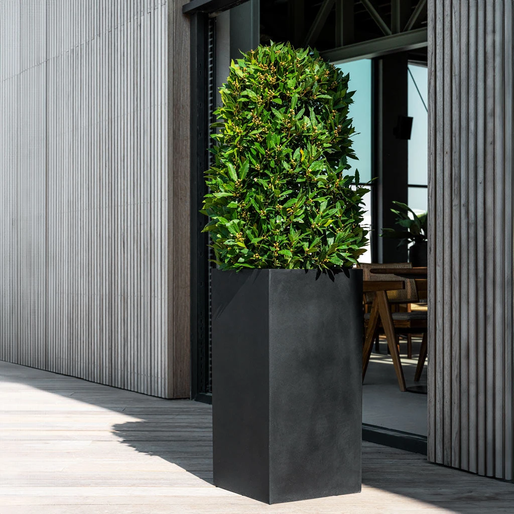 Bouvy Natural Planter - Black 4 Bouvy Natural Planter - Black - Image 2