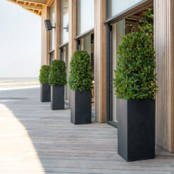 Bouvy Natural Planter - Black 16 Bouvy Natural Planter - Black -Greencore Store Bouvy Natural Planter Black Lifestyle 3