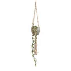 Ceropegia Woodii - String Of Hearts -Greencore Store Ceropegia woodii String of Hearts 10x20cm Macrame Hanging Plant Pot 12x10cm 2