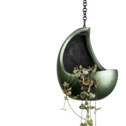 Gradient Hanging Cocoon - Matt Forest 17 Gradient Hanging Cocoon - Matt Forest -Greencore Store Ceropegia woodii String of Hearts 11x20cm Gradient Hanging Cocoon Matt Forest 20x24cm