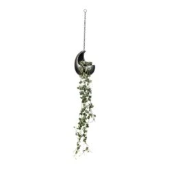 Ceropegia Woodii - String Of Hearts -Greencore Store Ceropegia woodii String of Hearts 14x30cm Gradient Hanging Cocoon Matt Grey 20x24cm
