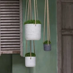 Charlie Hanging Plant Pot - Grey Washed -Greencore Store Charlie Hanging Plant Pots Houseplants
