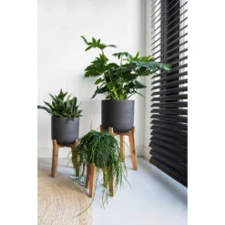Charlie Plant Pot - Tall Stand - Black Washed -Greencore Store Charlie Plant Pot Tall Stand Black Washed Lifestyle 02