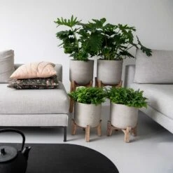 Charlie Plant Pot - Low Stand - Grey Washed -Greencore Store Charlie Plant Pot Tall Stand Grey Washed Lifestyle 02 9225be9f 92ff 40ce 8bec 1627a363928b