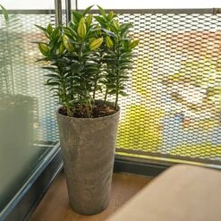 Claire Artstone Tall Planter - Grey -Greencore Store Claire Artstone Tall Planter Grey 4