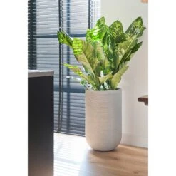 Cody Plant Vase - Ridged Cement -Greencore Store Cody Plant Vase Ridged Cement Dieffenbachia