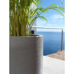 Cody Plant Vase - Ridged Dark Grey -Greencore Store Cody Tall Planter Ridged Dark Grey Areca Palm
