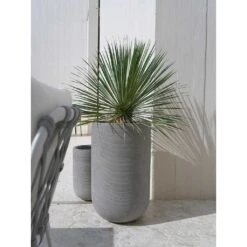 Cody Plant Vase - Ridged Dark Grey -Greencore Store Cody Tall Planter Ridged Dark Outdoor Palm
