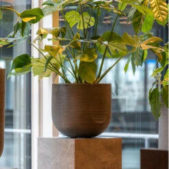 Cody Plant Pot - Ridged Dark Grey -Greencore Store CodyPlantPot RidgedDarkGrey 6