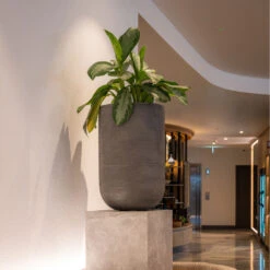 Cody Plant Vase - Ridged Dark Grey -Greencore Store CodyPlantVase RidgedDarkGrey 1