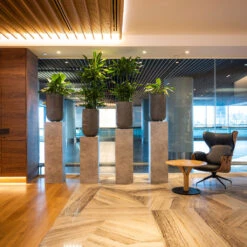 Cody Plant Vase - Ridged Dark Grey -Greencore Store CodyPlantVase RidgedDarkGrey 9