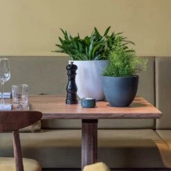 Coral Refined Planter - Natural White -Greencore Store Coral Refined Planter Pine Green Natural White Houseplants