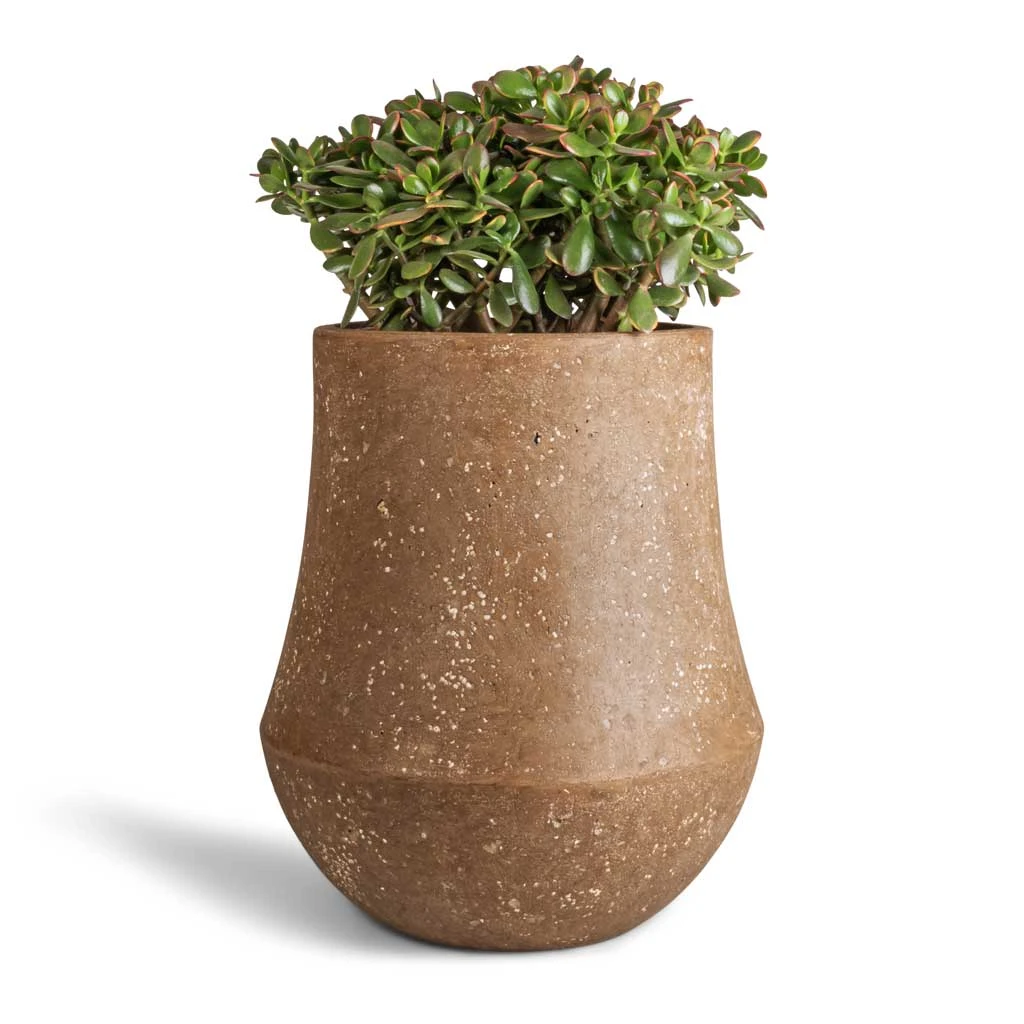 Polystone Coated Darcy Planter - Rock 4 Polystone Coated Darcy Planter - Rock - Image 2