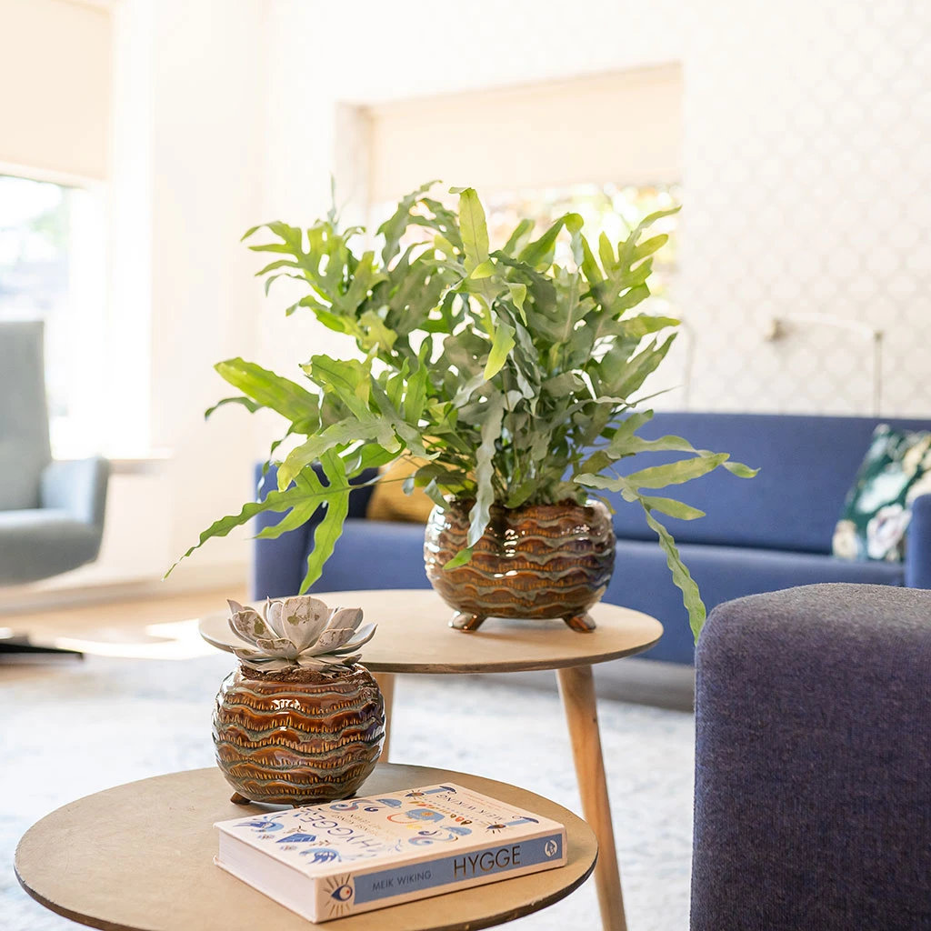 Dewi Plant Pot - Marrakesh 9 Dewi Plant Pot - Marrakesh - Image 7