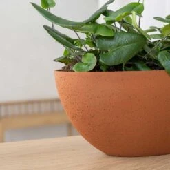 Dorant Refined Oval Plant Bowl - Canyon Orange -Greencore Store Dorant Refined Oval Plant Bowl Canyon Orange Close Up