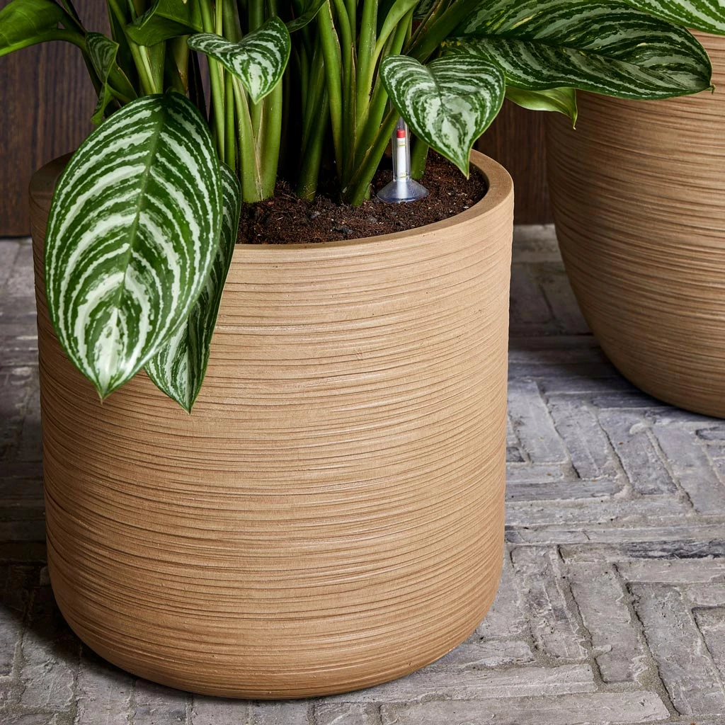 Dune Cylinder Planter - Almond 4 Dune Cylinder Planter - Almond - Image 2
