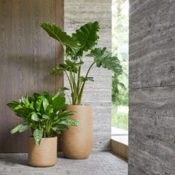 Dune Cylinder Planter - Almond 13 Dune Cylinder Planter - Almond -Greencore Store Dune Cylinder Brown Beige Dune Partner Brown Beige