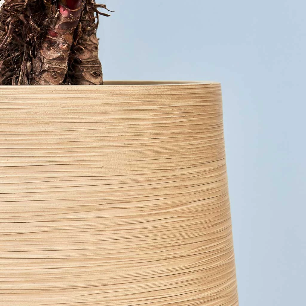 Dune Partner Planter - Almond 12 Dune Partner Planter - Almond - Image 10