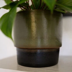 Erik Plant Pot - Dark Olive 18 Erik Plant Pot - Dark Olive -Greencore Store Erik Olive 4