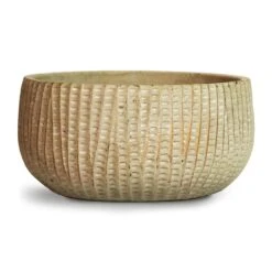 Feico Plant Bowl - Mint Grey