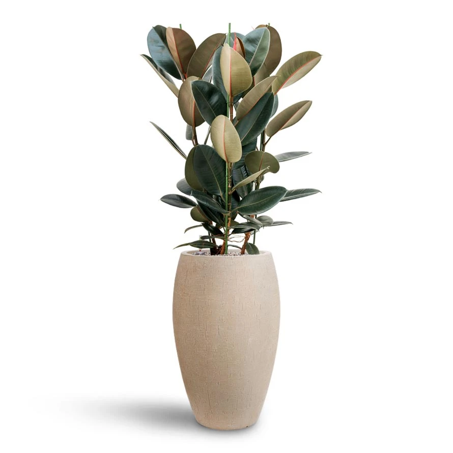 Raindrop Tall Balloon Planter - Stone 7 Raindrop Tall Balloon Planter - Stone - Image 5