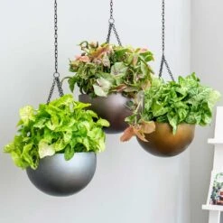 Gradient Hanging Plant Bowl - Matt Coffee -Greencore Store Gradient Hanging Plant Bowl db68eaf3 31c5 4680 a11f c21401681759