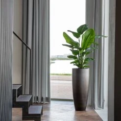 Gradient Partner Planter - Matt Grey -Greencore Store Gradient Partner Planter Matt Grey 4