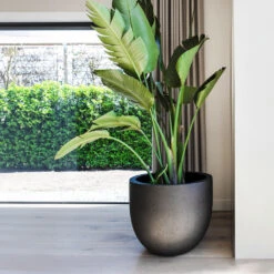 Grigio New Egg Pot Planter - Anthracite Concrete -Greencore Store Grigio New Egg Pot Planter Anthracite