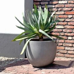 Grigio New Egg Pot Planter - Natural Concrete -Greencore Store Grigio New Egg Pot Planter Natural Concrete 2