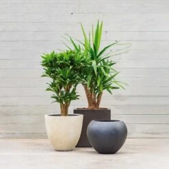 Grigio Egg Pot Planter - Antique White Concrete 13 Grigio Egg Pot Planter - Antique White Concrete -Greencore Store Grigio Planters LS1