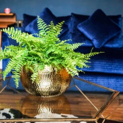 Hammered Bowl - Gold With Black -Greencore Store Hammered Bowl Gold Lifestyle 3