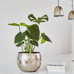 Hammered Bowl - Nickel With Black -Greencore Store Hammered Bowl Silver Lifestyle