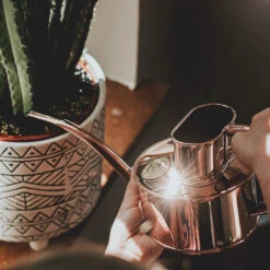 Haws Fazeley Flow Watering Can - One Pint Copper -Greencore Store Haws Fazeley Flow One Pint Copper LS