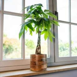 Helle Plant Pot - Natural -Greencore Store Helle Natural 3