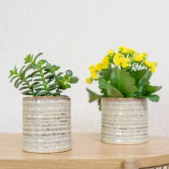 Hera Plant Pot - Ivory -Greencore Store HeraPlantPot 6