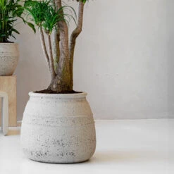 Hestia Mediterranean Planter - Chalk White -Greencore Store Hestia Mediterranean Planter Chalk White Lifestyle