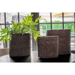 Isaac Plant Baskets - Set Of 3 - Oval - Black -Greencore Store Isaac Plant Baskets Set of 3 Oval Black Indoor Plants