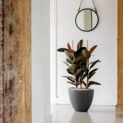 Jesslyn Granite Planter - Midnight Black -Greencore Store Jesslyn Granite Planter Midnight Black Lifestyle 3